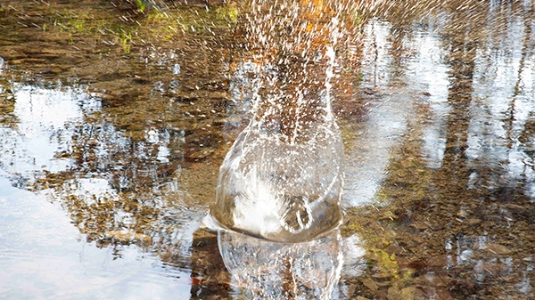 © Verena Miedl-Faißt Foto eines Sees, die Wasseroberfläche ist bewegt
von einem Gegenstand der hineingefallen ist.