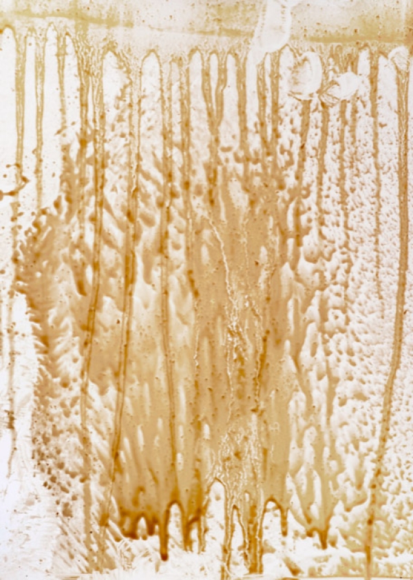 Design of the exhibition Reflecting Oil.