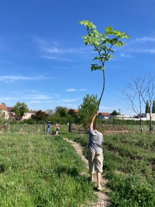 9 garden group building forest ®Alexander Thoma