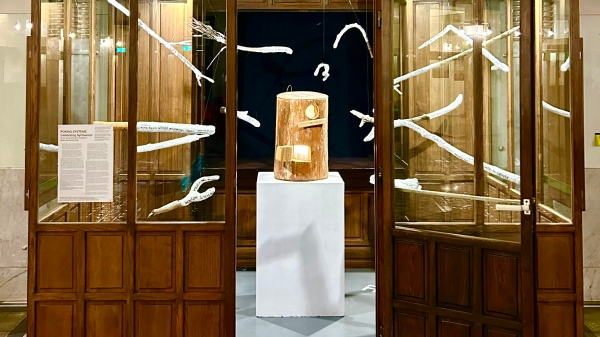 Installation view 2025 POKING SYSTEMS – Celebrating Synfluence