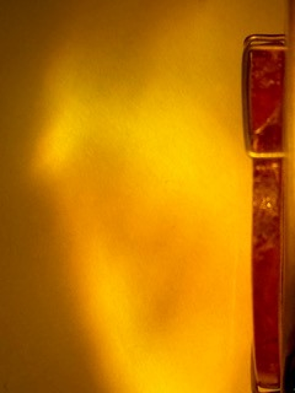 Das Bernsteinzimmer © Birgit Sauer/ Bildrecht Wien, 2024