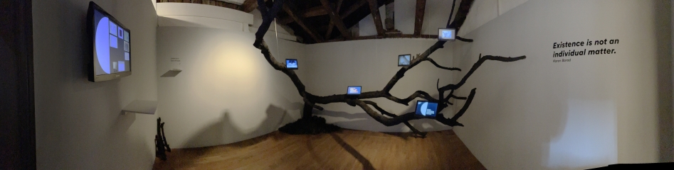 Intra-Actions Installation
                                          in Palazzo Mora and Opera-Aperta in Palazzo Michiel