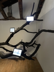Intra-Actions Installation
                                          in Palazzo Mora and Opera-Aperta in Palazzo Michiel