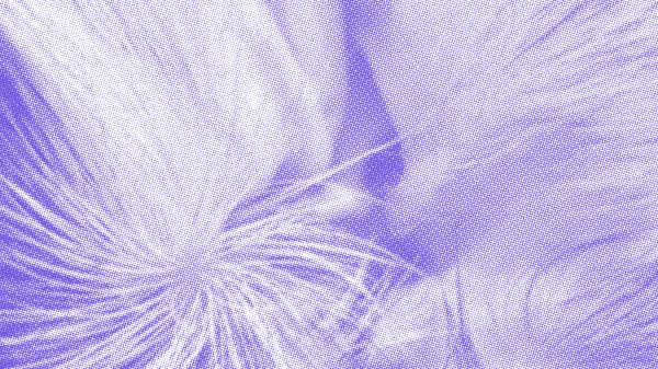 Veranstaltungsposter
                                          Grafik AIL The World in my Room, MUELLER-DIVJAK