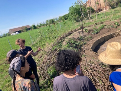 6 garden group Building Forest ®Gundi Mayrhofer