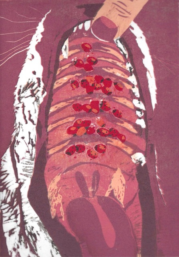 Zeichnung von Marienkäfern