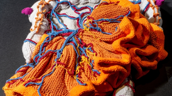 Katharina
                                                   Sabernig Darm, 2016 Baumwolle, gestrickt und gehäkelt, 50 x 60 x 14 cm Foto © N. Lackner, UMJ
