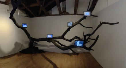Intra-Actions Installation
                                          in Palazzo Mora and Opera-Aperta in Palazzo Michiel