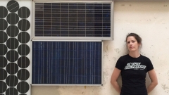 Judith Fegerl Portrait